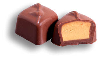 Chocolate Sugar Free Peanut Truffle 6LB Bulk