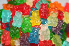 Gummi Bears 5LB Bulk 3