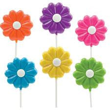 Daisy Lollipals 24 count